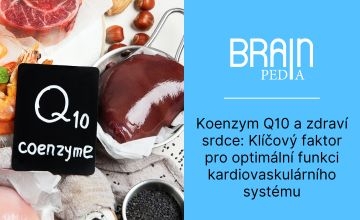 Koenzym Q10: Zásadní faktor k optimální funkci kardiovaskulárního systému