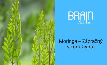 Moringa: Zázračný strom života