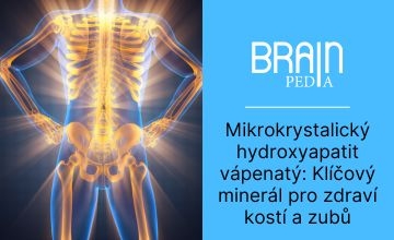 Mikrokrystalický hydroxyapatit vápenitý: Klíčový minerál pro zdraví kostí a zubů