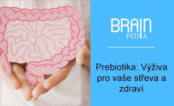 Prebiotyki: odżywianie dla jelit i zdrowia